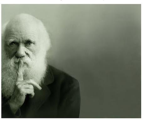 235/365 Charles Darwin
