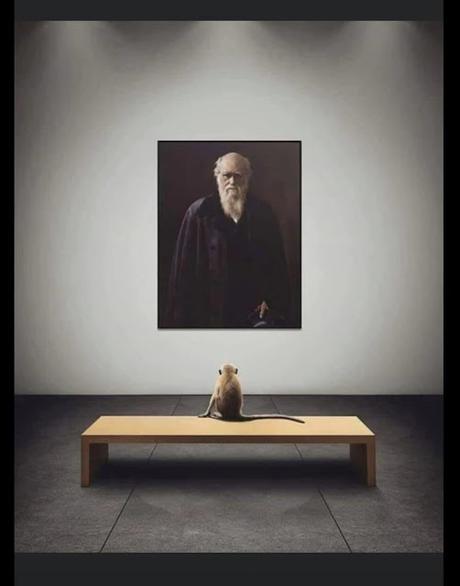 235/365 Charles Darwin