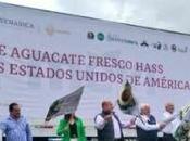 forzado regreso aguacate Jalisco mercado estadounidense