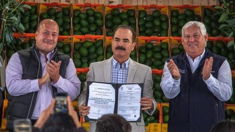 El forzado regreso del aguacate de Jalisco al mercado estadounidense