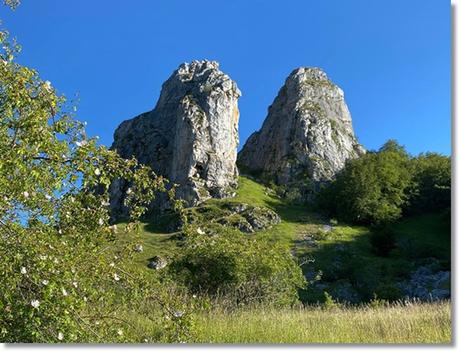 Universalidad de los Redondos