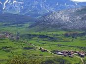 Universalidad Redondos