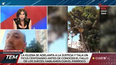 Salvar los árboles andaluces de un nuevo arboricidio. Salvar los árboles andaluces de un nuevo arboricidio.