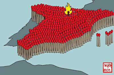 Salvar los árboles andaluces de un nuevo arboricidio. Salvar los árboles andaluces de un nuevo arboricidio.