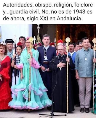 Salvar los árboles andaluces de un nuevo arboricidio. Salvar los árboles andaluces de un nuevo arboricidio.