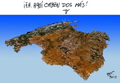 Salvar los árboles andaluces de un nuevo arboricidio. Salvar los árboles andaluces de un nuevo arboricidio.