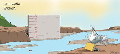 Salvar los árboles andaluces de un nuevo arboricidio. Salvar los árboles andaluces de un nuevo arboricidio.