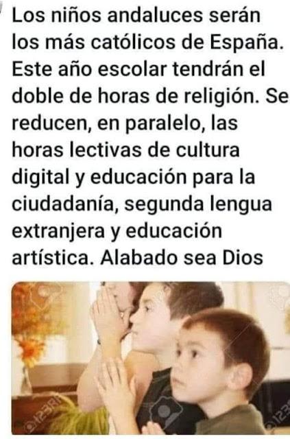 Salvar los árboles andaluces de un nuevo arboricidio. Salvar los árboles andaluces de un nuevo arboricidio.