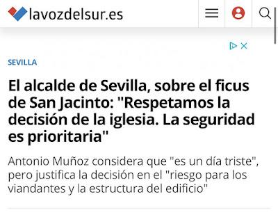 Salvar los árboles andaluces de un nuevo arboricidio. Salvar los árboles andaluces de un nuevo arboricidio.