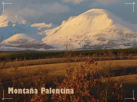 Gonzalo Alcalde Crespo, mi recuerdo, reconocimiento y aplauso en su segundo aniversario.