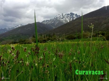 Gonzalo Alcalde Crespo, mi recuerdo, reconocimiento y aplauso en su segundo aniversario.
