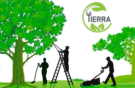 La Tierra Jardinería explica los principios de la poda otoñal de árboles y arbustos