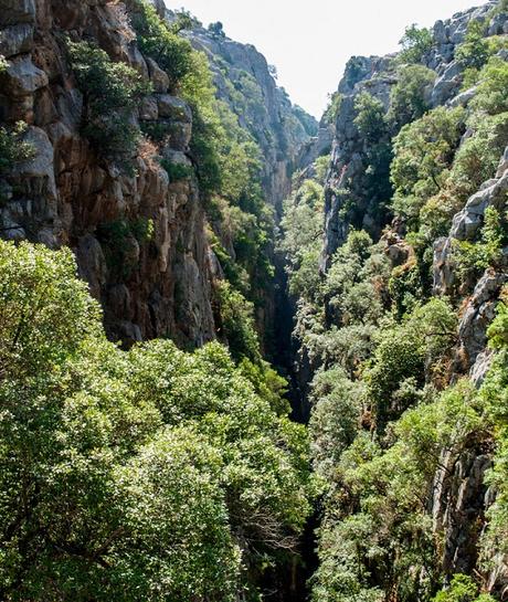 Que ver en la Serranía de Ronda en un fin de semana Que ver en Cañón de las Buitreras