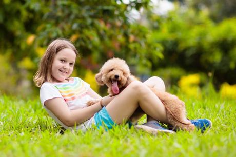 Diferencias entre adoptar y comprar perros, con Cachorros del Valle Diferencias entre adoptar y comprar perros, con Cachorros del Valle
