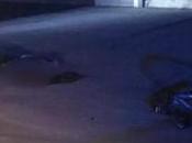 Muere atropellada ciclista Zona Industrial