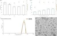 Desarrollan una prometedora tableta de insulina oral Desarrollan una prometedora tableta de insulina oral