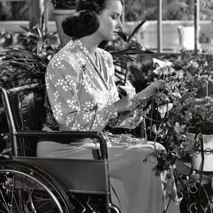 DESPACIO, FORASTERO (Walk Softly, Stranger) (USA, 1950) Negro, Romántico DESPACIO, FORASTERO (Walk Softly, Stranger) (USA, 1950) Negro, Romántico