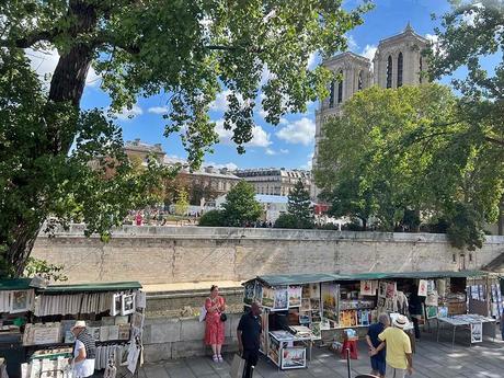 Notre Dame y los bouquinistes junto al Sena vistos desde el bus turistico Paris