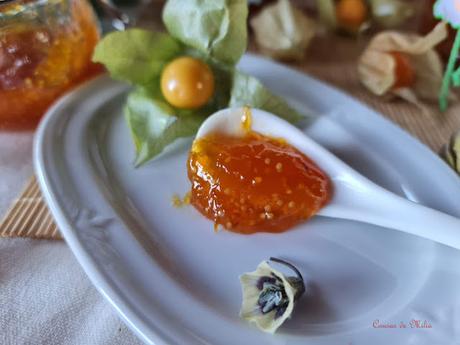 Mermelada de physalis