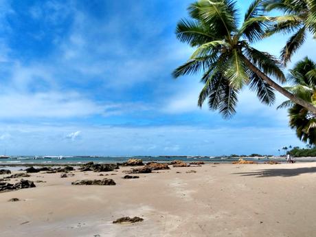 Playas de Salvador, Bahía