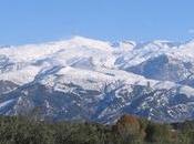 Sierra Nevada