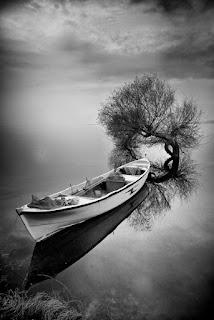 5.204 - TENDREMOS TIEMPO...