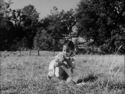 POZO DE LA ANGUSTIA, EL (WELL, THE) (USA, 1951) Drama, Social