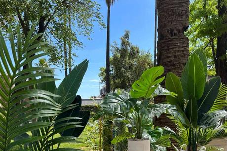 ¿Dónde comprar plantas artificiales por internet?, en Zamyo ¿Dónde comprar plantas artificiales por internet?, en Zamyo