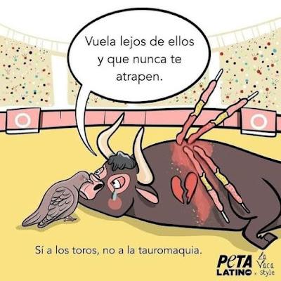 La tauromaquia decae en España por “cuestión de principios”.