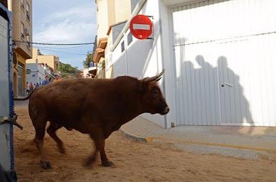 La tauromaquia decae en España por “cuestión de principios”.