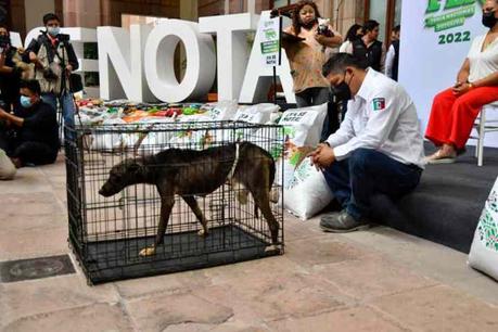 Entrega Gallardo 15 toneladas de alimento para mascotas Entrega Gallardo 15 toneladas de alimento para mascotas