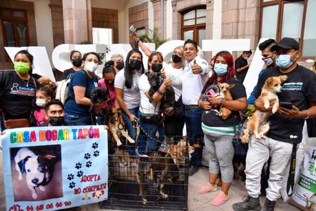Entrega Gallardo 15 toneladas de alimento para mascotas