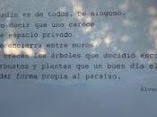 Jardín privado compartido