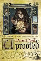 Un cuento oscuro, de Naomi Novik