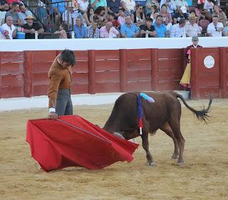 TRIUNFAL REGRESO DE LOS FESTEJOS TAURINOS A BENAMEJÍ TRIUNFAL REGRESO DE LOS FESTEJOS TAURINOS A BENAMEJÍ