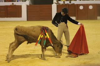 TRIUNFAL REGRESO DE LOS FESTEJOS TAURINOS A BENAMEJÍ TRIUNFAL REGRESO DE LOS FESTEJOS TAURINOS A BENAMEJÍ