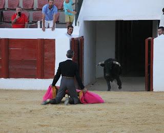 TRIUNFAL REGRESO DE LOS FESTEJOS TAURINOS A BENAMEJÍ TRIUNFAL REGRESO DE LOS FESTEJOS TAURINOS A BENAMEJÍ