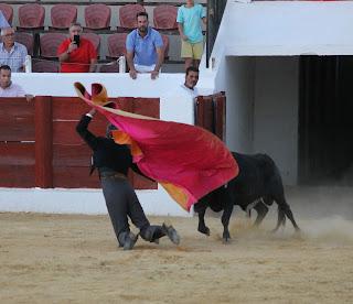 TRIUNFAL REGRESO DE LOS FESTEJOS TAURINOS A BENAMEJÍ TRIUNFAL REGRESO DE LOS FESTEJOS TAURINOS A BENAMEJÍ