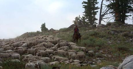 43b23bc7-2744-4d64-a9a5-6a15ff6701e5