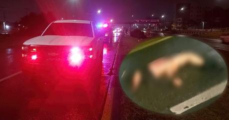 Fallece atropellado sobre la carretera 57 a la altura de  la Seminario