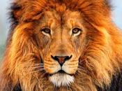 condenación traviata