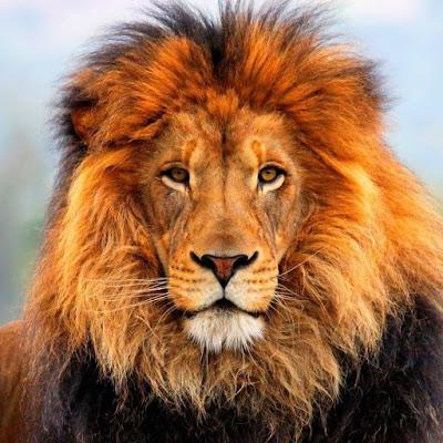 LA CONDENACIÓN DE LA TRAVIATA