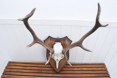 ¿Cuál es el origen de la frase “poner los cuernos”? ¿Cuál es el origen de la frase “poner los cuernos”?