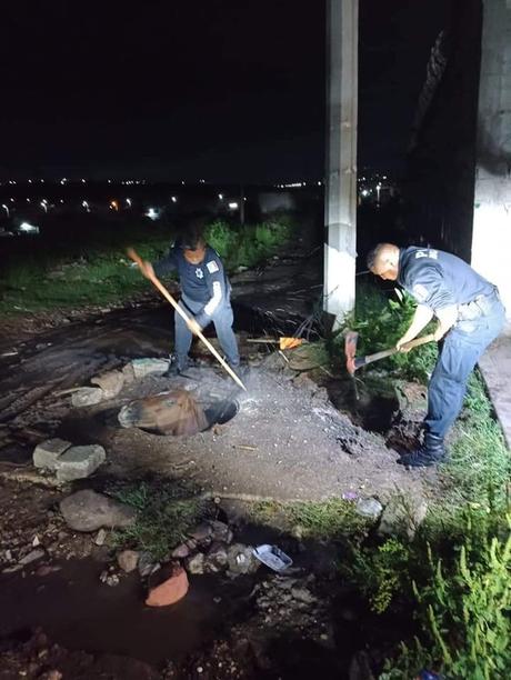 Rescatan a caballo que cayó en alcantarilla en Querétaro