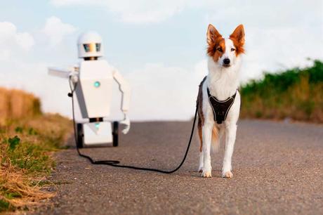 La bolsa porta premios de tu mascota tiene mucho futuro 25