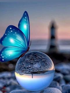 5.208 - ROBO TUS OJOS...