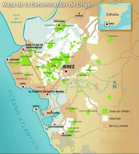 SESIÓN DE INICIACIÓN A LOS VINOS DE JEREZ Y LA MANZANILLA: Vinos de Bodegas Osborne: Sábado 4 de junio de 2022