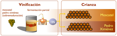 SESIÓN DE INICIACIÓN A LOS VINOS DE JEREZ Y LA MANZANILLA: Vinos de Bodegas Osborne: Sábado 4 de junio de 2022