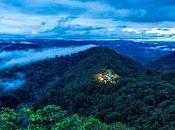 Mashpi Lodge Chocó Andino sido elegido destino viaje responsable National Geographic