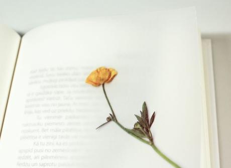 un buen diseño editorial